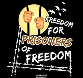 http://www.palestine-solidarite.org/prisonniers-pal-04.jpg